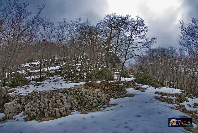 crinale innevato.JPG